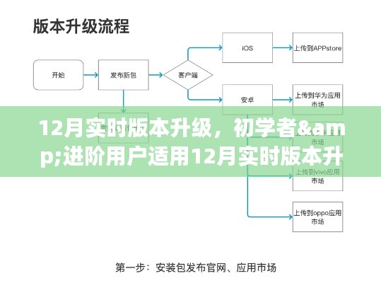 初学者与进阶用户适用的12月实时版本升级详细指南