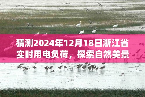 探索自然美景之旅与电力负荷预测下的心灵宁静之旅 —— 浙江省实时用电负荷预测与体验