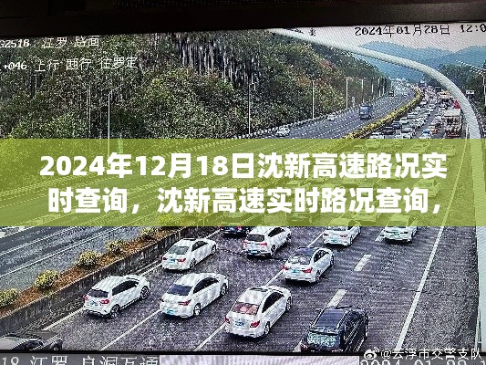 2024年12月18日沈新高速实时路况深度解析与观点阐述