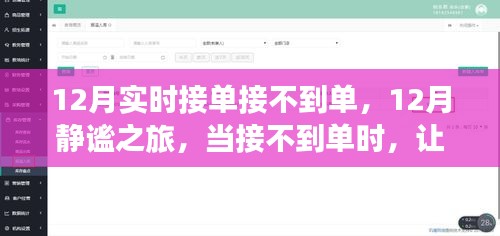 12月接不到单？静享美景之旅，自然治愈心灵之旅