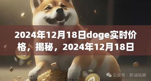 揭秘，2024年12月18日Doge币实时价格的波动与解析报告发布