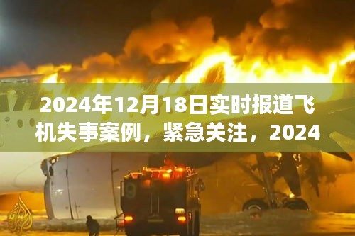 紧急关注！深度解析飞机失事案例，实时报道与小红书体的交织