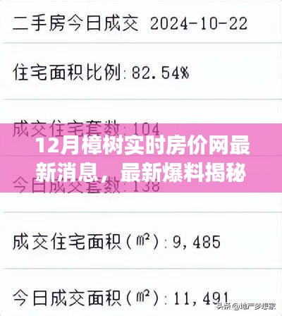 樟树实时房价最新动态揭秘，十二月楼市风云与走势预测（深度爆料）-小红书带你洞悉真相