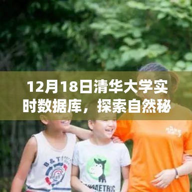 清华大学实时数据库，心灵之旅启程，探索自然秘境寻找内心宁静与平和