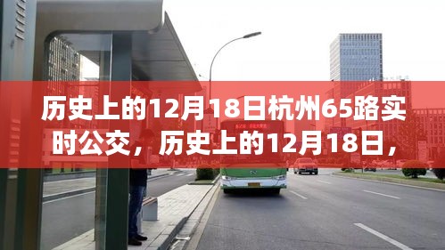 历史上的12月18日杭州65路公交车，绿意之旅的心灵净土探寻之路
