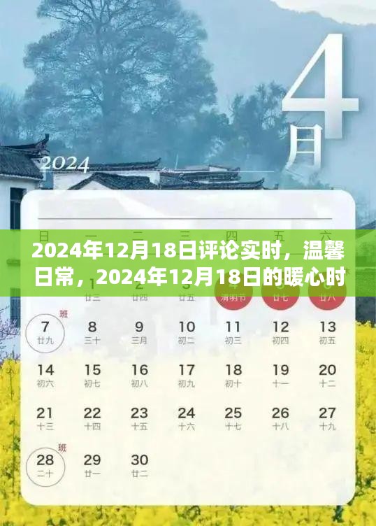 暖心时光，温馨日常的评论实时记录，2024年12月18日评论分享