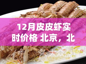 北京12月皮皮虾实时价格及购买指南
