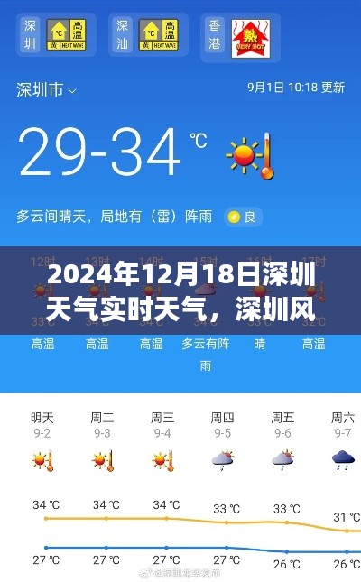 2024年12月18日深圳实时天气纪实与影响