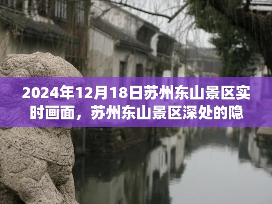 苏州东山景区探秘，隐藏瑰宝的实时探秘之旅（2024年12月18日）