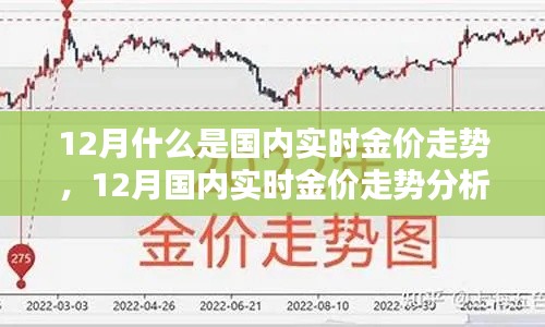 12月国内实时金价走势解析，入门到进阶的全面指南