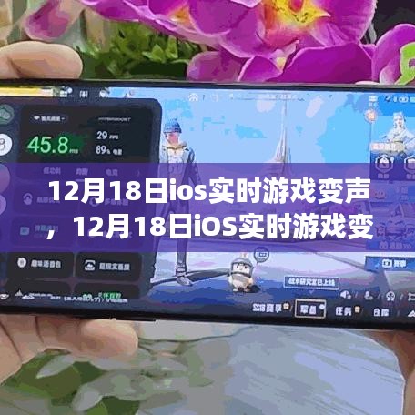 12月18日iOS实时游戏变声，科技如何重塑游戏体验