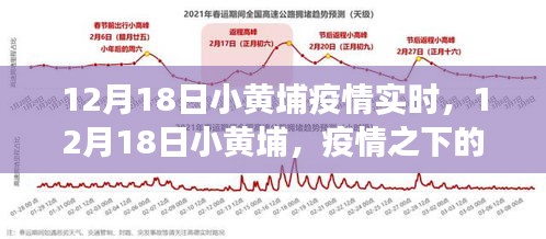 风度翩翩 第3页