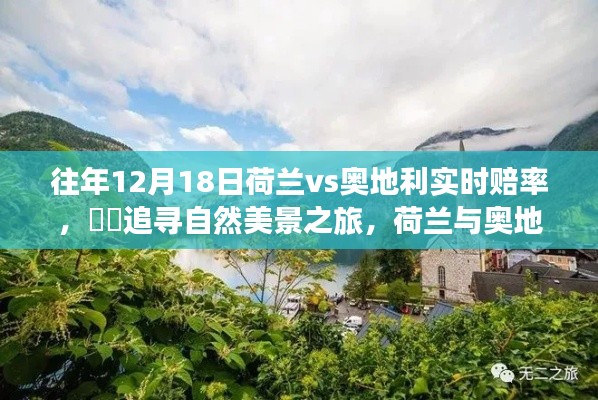 荷兰与奥地利对决实时赔率揭秘，绿茵奇迹与心灵宁静之旅​​​​