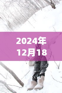 Z21深冬之旅，探寻冰雪奇缘中的内心宁静力量