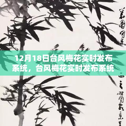 台风梅花实时发布系统详解与使用指南（初学者到进阶用户适用）