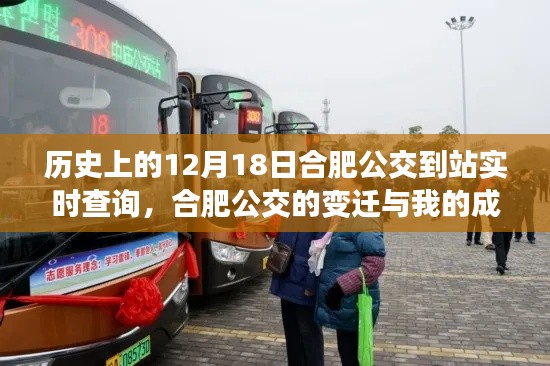合肥公交变迁与我的成长之路，一路前行，拥抱变化，实时查询闪耀历史12月18日