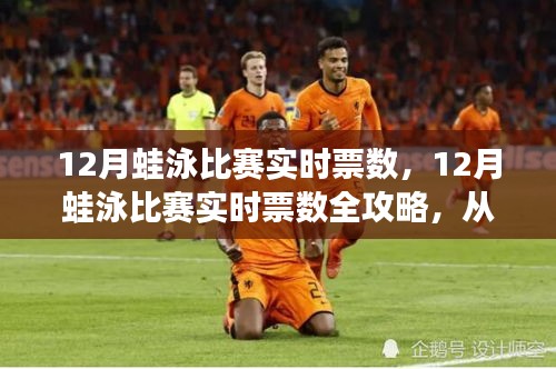 12月蛙泳比赛实时票数全攻略，从入门到精通的游泳指南