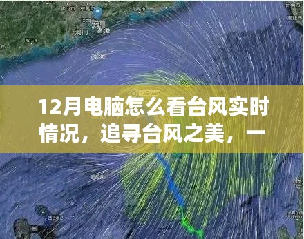 追寻台风之美，电脑上的奇妙旅行，实时追踪台风动态，探寻内心宁静港湾