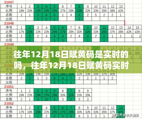 往年12月18日赋黄码实时性探讨，观点阐述与分析