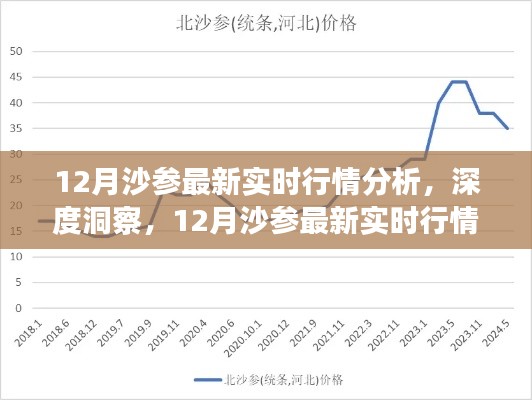 深度洞察，最新实时行情分析揭示12月沙参市场走势
