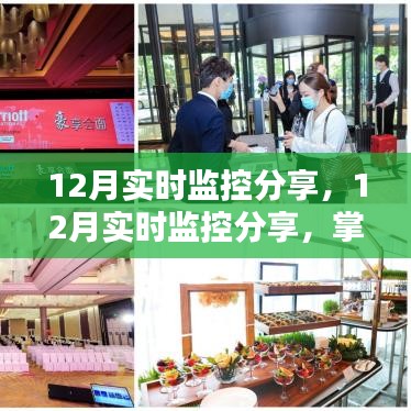12月实时监控分享，掌握最新动态，洞悉未来趋势展望