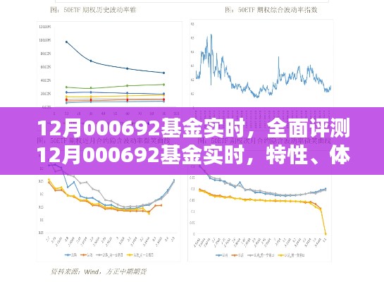 全面评测，12月000692基金实时特性、体验、竞品对比及用户群体深度分析报告