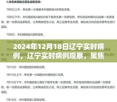 2024年12月18日辽宁实时病例观察，聚焦疫情动态与观点