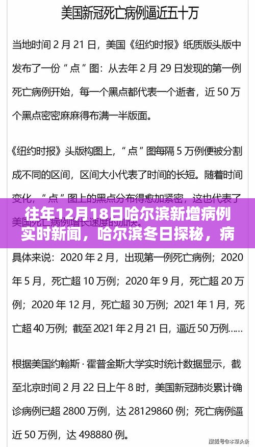 哈尔滨冬日探秘，病例背后的自然美景之旅与内心的宁静与平和寻找之旅