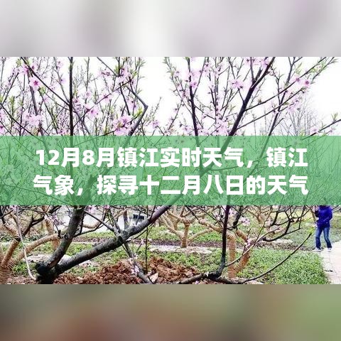 天各一方 第3页