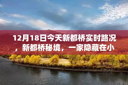 揭秘新都桥秘境，隐藏在巷深处的特色小店与实时路况
