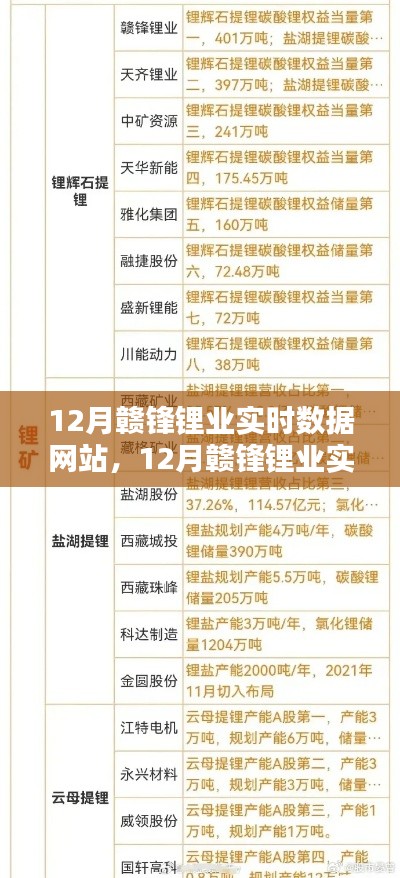 12月赣锋锂业实时数据网站全面评测与介绍