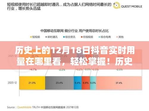 历史抖音实时用量查询教程，轻松掌握抖音数据走向（适合初学者与进阶用户）