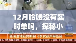 探秘小巷深处的独特风味，揭秘十二月哈喽隐藏单号秘密