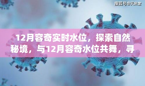12月容奇水位探索，与自然共舞，追寻内心宁静的旅程