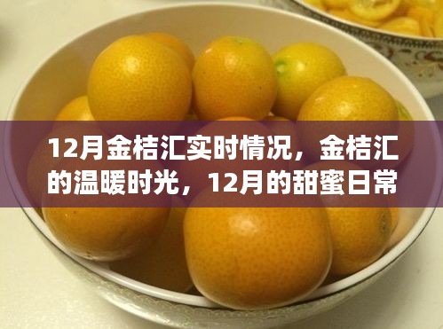12月金桔汇的温暖时光，实时情况与甜蜜日常