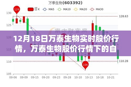 万泰生物股价行情背后的自然之旅，心灵的宁静港湾探寻