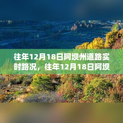 往年12月18日阿坝州道路实时路况详解，深度分析与观点阐述