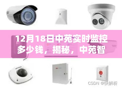 揭秘中苑智能监控新标杆，实时费用解析与体验前沿，12月18日中苑实时监控费用揭秘。