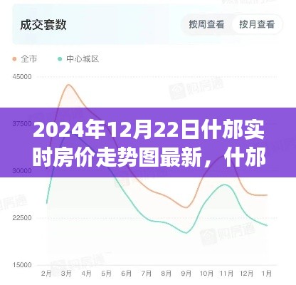 什邡房价走势最新动态，2024年实时数据揭示小城风云与温馨家园寻觅之旅