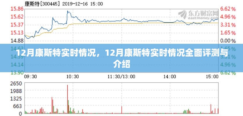 12月康斯特实时情况全面解析与介绍