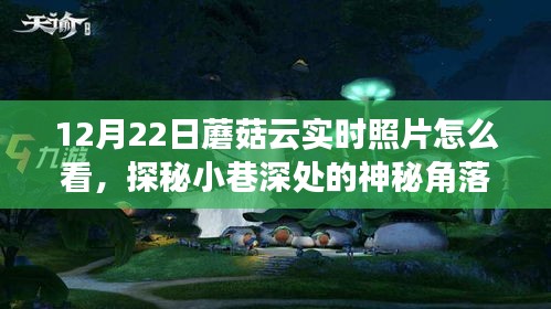 小巷深处的神秘角落