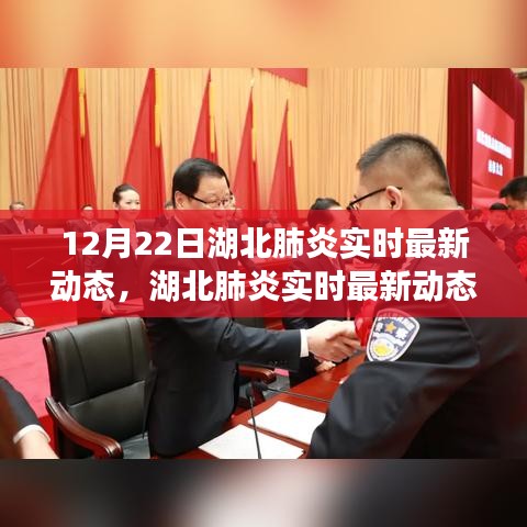 初学者到进阶用户适用