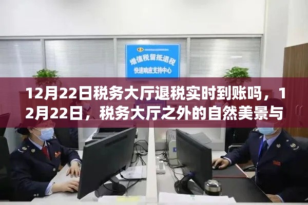 12月22日税务大厅退税实时到账吗？探寻税务大厅内外的美景与心灵之旅体验