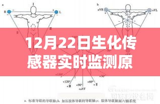 生化传感器实时监测原理详解，从入门到精通的指南（初学者与进阶用户适用）