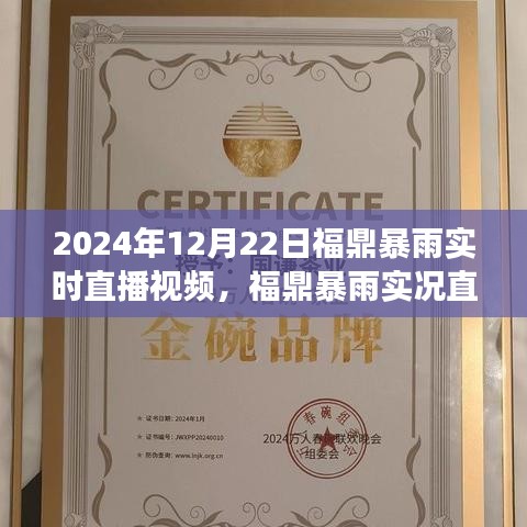 揭秘气象背后的故事，福鼎暴雨实况直播视频，直击暴雨现场（时间，XXXX年XX月XX日）