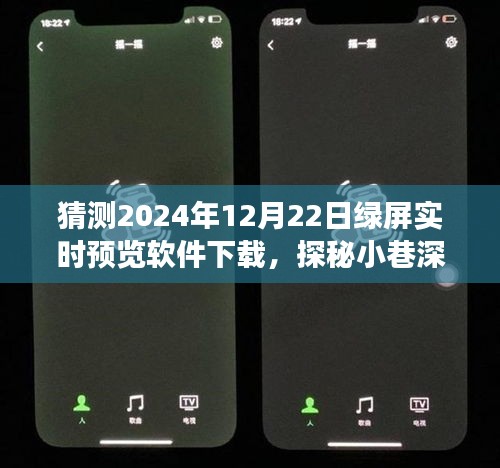 探秘小巷深处的绿屏奇缘，未来实时预览软件下载之旅（预测至2024年12月22日）