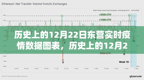 历史上的12月22日东营实时疫情数据图表及其分析概览
