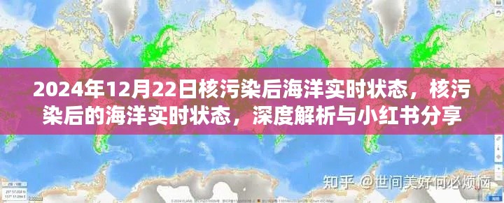 核污染后的海洋实时状态深度解析与分享，核污染影响下的海洋生态变化（深度观察，小红书分享）