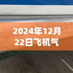 实时掌握飞行气象动态，深度解析2024年12月22日飞机气象图