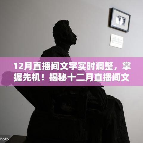 揭秘十二月直播间文字实时调整技巧，抢先掌握先机！